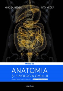 Anatomia coperta